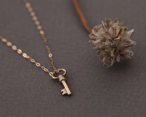 Image of *SAMPLE SALE - was £225.00* 9ct gold, Tiny key necklace