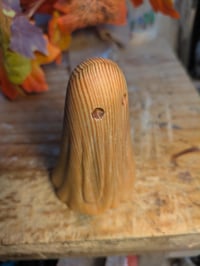 Image of 5. Natural Ghost