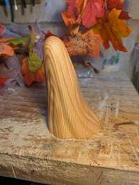 Image of 5. Natural Ghost