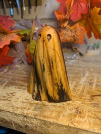 Image of 6. Driftwood Ghost