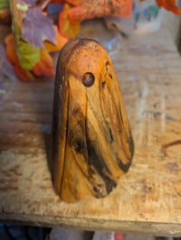 Image of 6. Driftwood Ghost