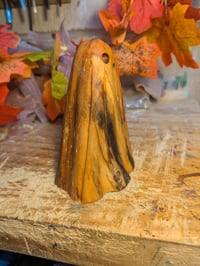 Image of 6. Driftwood Ghost