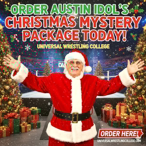 Image of Austin Idol Christmas Mystery Package