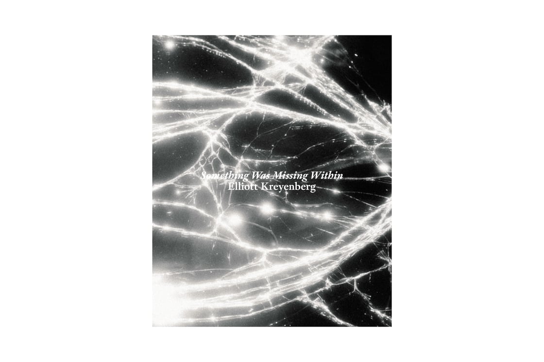Image of Something Was Missing Within - Elliott Kreyenberg