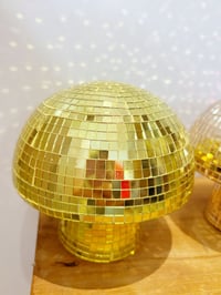 Image 3 of Champignon Disco