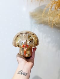 Image 4 of Champignon Disco