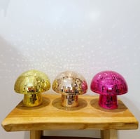 Image 1 of Champignon Disco