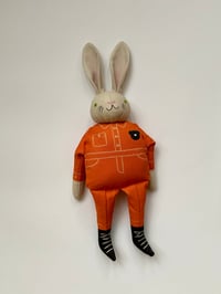 Image 1 of Luna the Rabbit