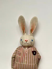 Image 2 of Pablo the Rabbit