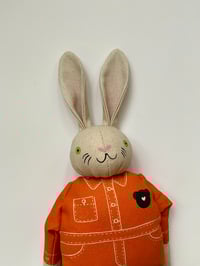 Image 2 of Luna the Rabbit