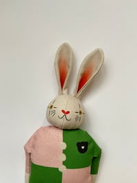 Image 2 of Luigi the Rabbit