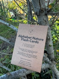 Nature Alphabet Flashcards