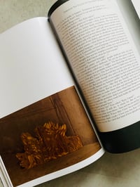 Image 3 of We Circle Through the Night and Are Consumed by Fire