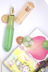 Image 4 of Cat in Amber and Green - Pocket Fountain Pen