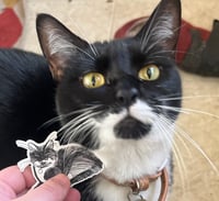 Image 4 of Weevil and Scurvy Vinyl Stickers