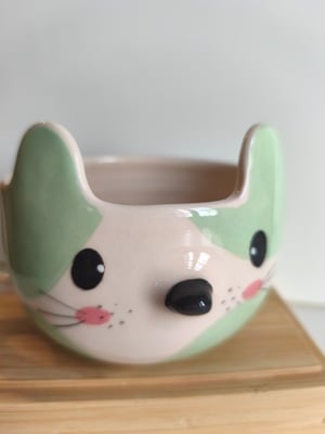 Image of Tasse chat celadon
