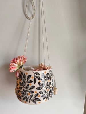 Image of   Pot suspendu feuillage noir