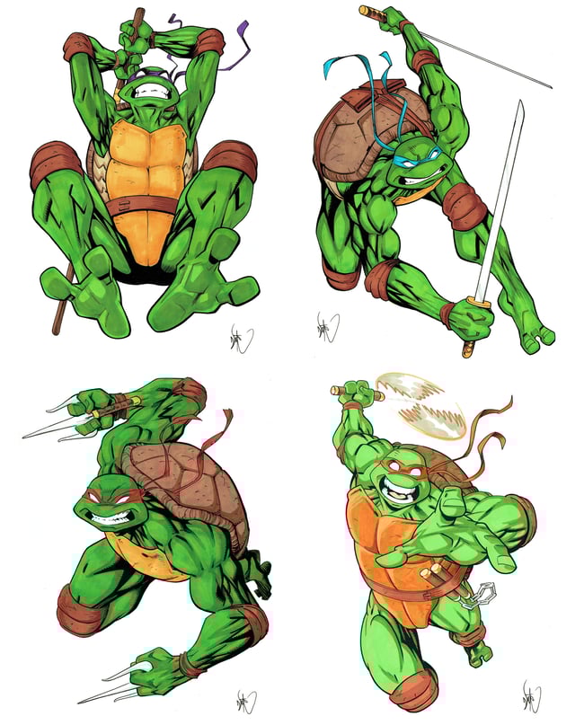 TMNT SET 1
