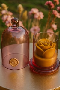 Image 2 of Rose Dome Pink 