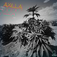 Axilla