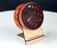 Image 5 of Exotic Australian Ironbark Eucalyptus yo-yo, #2025-256