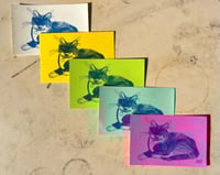 Image 1 of Weevil... (SECONDS)