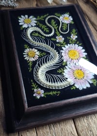 Image 2 of Snake Spine and Pink Daisy Wall Frame