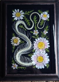 Image 3 of Snake Spine and Pink Daisy Wall Frame