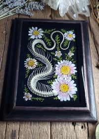 Image 4 of Snake Spine and Pink Daisy Wall Frame