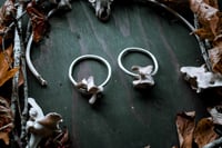 Image 2 of Custom Aluminum Bone Hoops