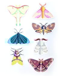 Moths Sticker Sheet
