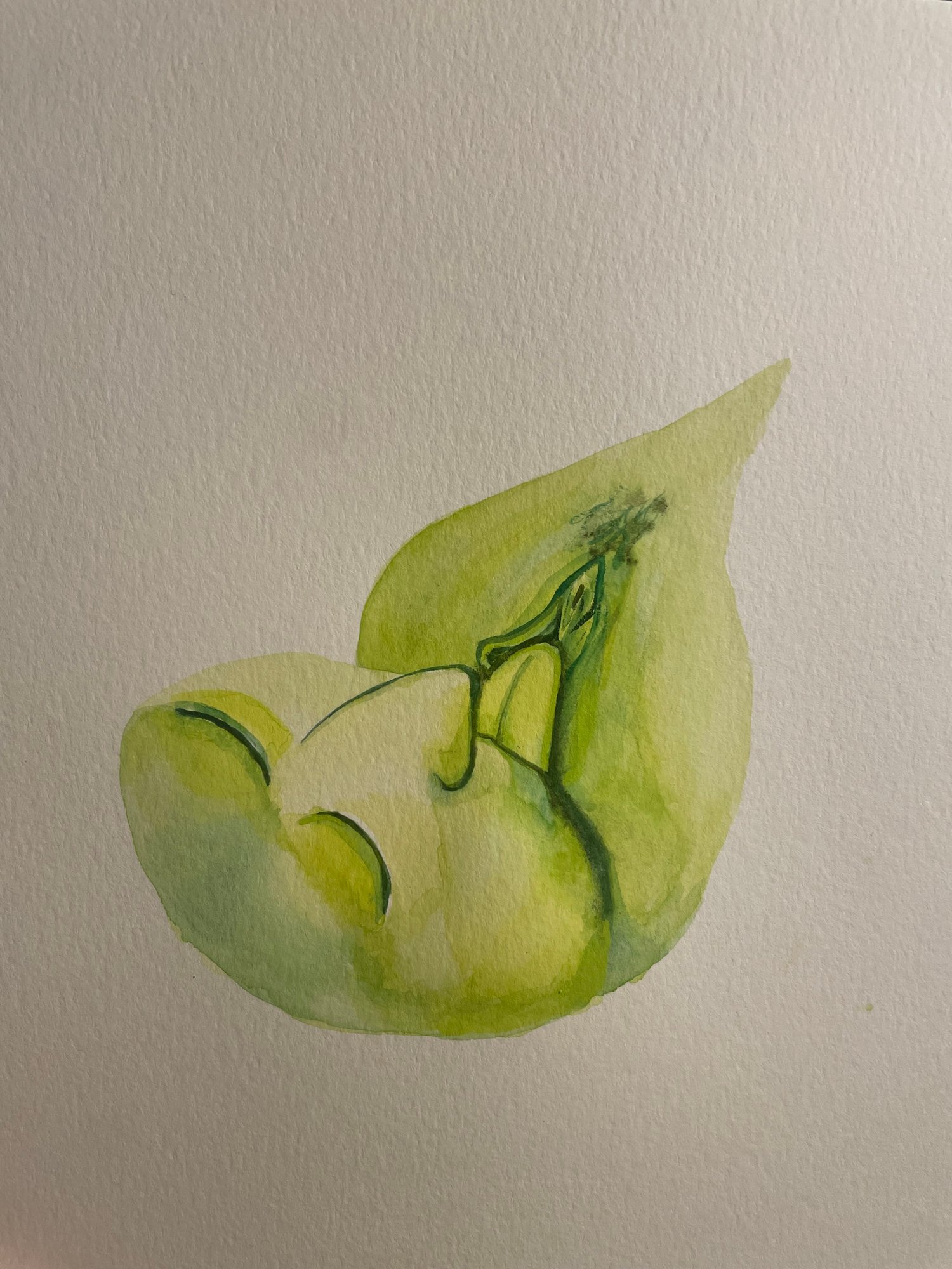 Honeydew (ORIGINAL)