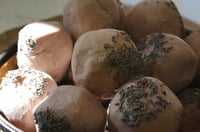 Image 1 of Tallow & Olive - Lavender Fields