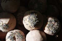 Image 4 of Tallow & Olive - Lavender Fields