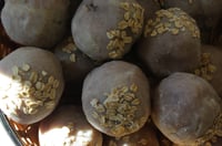 Image 3 of Tallow & Olive - The Apiary