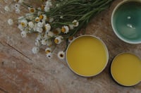 Image 1 of Muscle & Meadow Tallow Balm