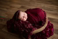 Image 5 of Signature Newborn Session | $595 plus tax ($100 to book)