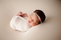 Image 9 of Legacy Newborn Session | $695 plus tax ($100 to book)