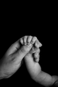 Image 11 of Legacy Newborn Session | $695 plus tax ($100 to book)