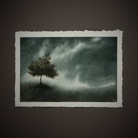 Image 1 of Show no care