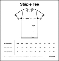 Image 2 of 'Raedwald Awakens' SAXON STORYTELLER PRE ORDER