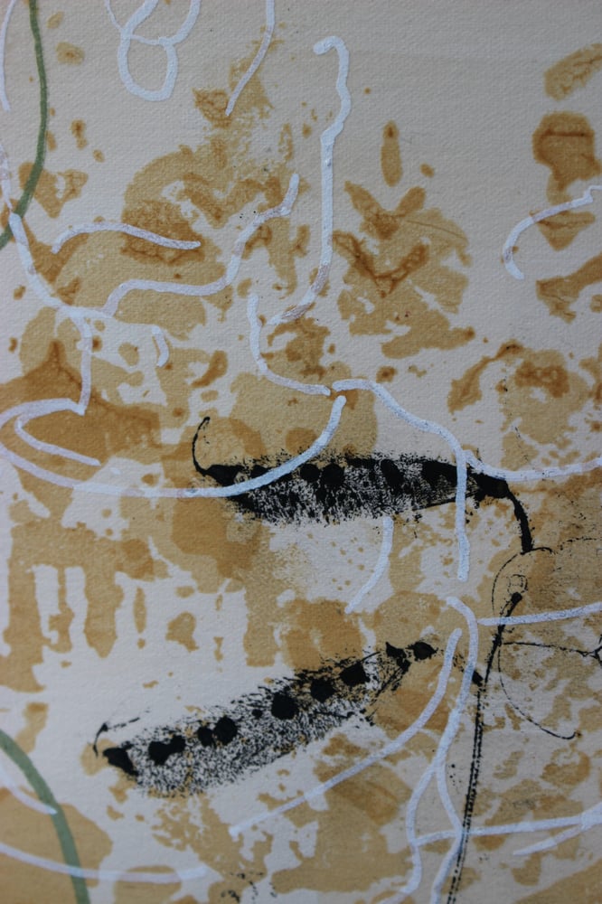 Image of House and Garden I II