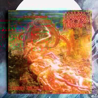Morbid Angel "Blessed Are The Sick" LP PRE-ORDER
