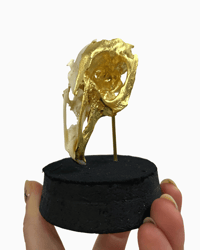 Image 4 of Rabbit Skull dome