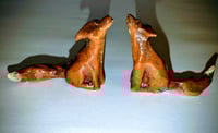 Image 2 of Howling fox