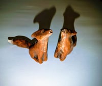 Image 3 of Howling fox