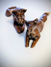 Image 4 of Resting fox