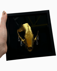 Image 2 of Badger Skull