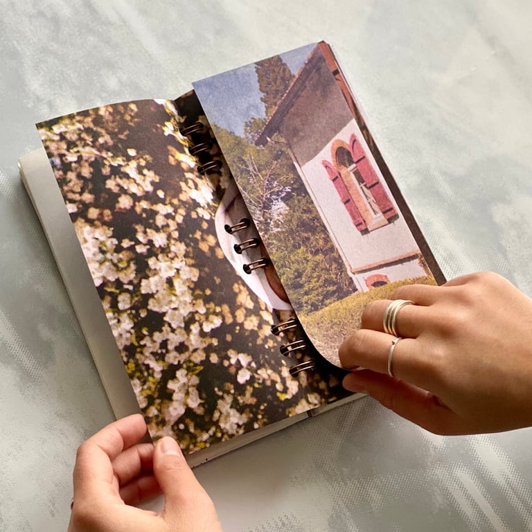 Firurikatuak Ziren Xirio Luze Batzu  Image 4