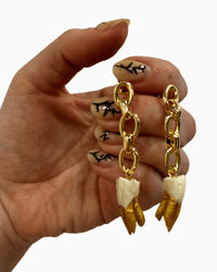 Sheep teeth earrings
